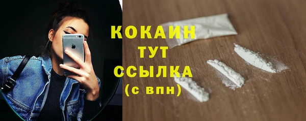 бошки Горняк